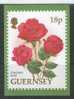 Guernesey Carte Maximum Sans Timbre Dimension 10,5 Cm X 14,5 Cm - Roses