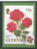 Guernesey Carte Maximum - Roses