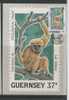 Guernesey Carte Maximum Avec Timbre Singe Gibbon - Singes