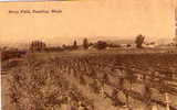 PUYALLUP - Berry Fields - Pierce County - WASHINGTON STATE USA - Andere & Zonder Classificatie