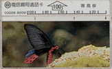 # TAIWAN C0026 Butterfly 100 Landis&gyr  -papillon,butterfly- Tres Bon Etat - Taiwan (Formosa)
