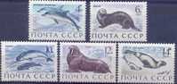 USSR 1971-3913-7 FAUNA, S S S R, 5v, MNH - Autres & Non Classés