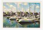 50 SAINT VAAST La HOUGUE - Le Port De Plaisance - Saint Vaast La Hougue