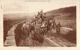 Retour VENDANGES En Bourgogne Charette Cheval Paysans Vin - Bourgogne