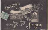 CPA YONNE 89 JOIGNY      Souvenir De JOIGNY - Joigny