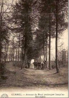 KEMMEL-AVENUE DUMONT -série Belgique Historique N°10 - Heuvelland