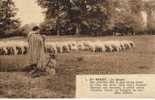 CPM FOLKLORE COSTUME DU BERRY : Le Berger Avec Son Chien Et Le Troupeau De Moutons  (texte De Jules Gilbert) - Costumes