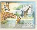 CUBA   Faune Zoo National   Girafes   BF 223** - Giraffes