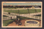 KENTUCKY - HORSE FARMS - KENTUCKY DERBIES - BLUE GRASS STOCK FARM IN OLD KENTUCKY - Other & Unclassified