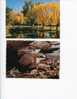 (2401) - 2 Older Bright - Victoria Postcard - Birds & Tree - Sonstige & Ohne Zuordnung