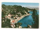 Le Pradet (83) : Vue Sur Les Villas De "Le Pin De Gale" Environ 1950. - Le Pradet