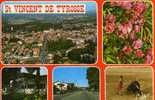 40 ST VINCENT DE TYROSSE Vue Generale Le Centre Ville Les Arenes, Toreador - Saint Vincent De Tyrosse