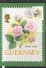 Guernesey Carte Maximum Avec Timbre - Roses