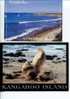 (2412) - 2 X Kangaroo Island Postcard - 2 Carte Ile Kangarou - Jettée - Lion De Mer - Sonstige & Ohne Zuordnung