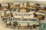 CPA (45) LA FERTE SAINT AUBIN Souvenir (choc Haut Droit) - La Ferte Saint Aubin