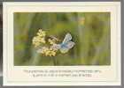 Jolie CP Fleurs Fleur Papillon Pour Prendre Du Repos - Ed Houtland EKF 01.18.01 - Maxime - Farfalle
