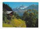 CHAMPERY  -   Paysage - Les Dents Du Midi - N° 58910 - Champéry