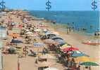 TORTORETO LIDO : Spiaggia 1971 - Other & Unclassified