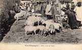 Foire Aux Cochons - 3525 -  Nos Campagnes - Pigs