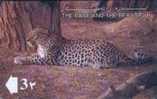 # OMAN 31 The Rare And The Beautiful - Arabian Leopard 3 Gpt 01.93 -animal- Tres Bon Etat - Oman