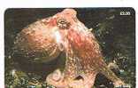 ISLE OF MAN - MANX TELECOM CHIP -MARINE LIFE: CURLED OCTOPUS ( ELEDONE CIRRHOSA) - (USED) CODE IOM38 - RIF. 7780 - Peces