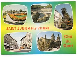 CPM     87        SAINT JUNIEN         LA CITE DU GANT        MULTIVUES - Saint Junien