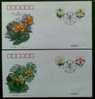 2001 CHINA ORCHID FLOWER FDC - 2000-2009
