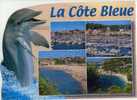 Dauphin :La Cote Bleue - BDR Sausset Les Pins -Carry Le Rouet - La Couronne  - Calanque Des Eaux Salées 2009 - Dolphins