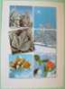 Switzerland 2004 Illustrated Postcard To Belgium - Snow Winter Flowers Leaves Sun - Flowers Stamps - Brieven En Documenten