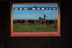 New Mexico - Cowboy - Altri & Non Classificati