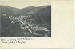 TRIBERG GERMANY Panoramic THE VILLAGE 1903 - Triberg