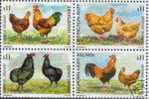 URUGUAY Sc#1911 MNH BLOCK Of 4 STAMP Fowl Rooster Bird - Hoendervogels & Fazanten