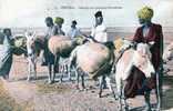 Delcampe - SENEGAL - Bourriquets Porteurs D'arachides - Senegal