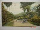 5832 JAMAICA  ENTRANCE TO CASTLETON GARDENS     YEARS 1910  OTHERS IN MY STORE - Jamaica