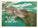 Dauphins: On Se Jette à L´ Eau ... On Vous Ecrit !, Photo Robert Cushman Hayes (10-691) - Delfines