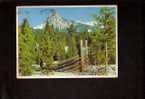 Ross Peak, Big Sky Country, Gallatin National Forest, Montana - Autres & Non Classés