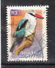 Sud Africa  -  2000.  Picchio.  Woodpecker. - Specht- & Bartvögel