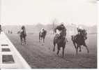 HIPPISME DON JUAN A  PRIX PRINCE D'ECOUEN 1967  VERITABLE PHOTO DE PRESSE 18X12.5 BEL ETAT VOIR SCAN - Hippisme