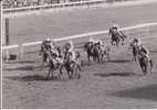 HIPPISME TONG YEN  PRIX DE LA REINE MARGUERITE 1967  VERITABLE PHOTO DE PRESSE 18X12.5 BEL ETAT VOIR SCAN - Paardensport