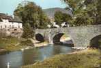 Cpsm Chanac (48) Pont Vieux Sur Le Lot , Ed Cim , Années 60 - 70 . Peche - Chanac