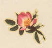 Décalcomanie Années 50 - Fleur - Rose Sauvage - Autres & Non Classés