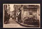 13 ST REMY DE PROVENCE Rue Carnot, Fontaine Nostradamus, Ed ?, 164, 192? - Saint-Remy-de-Provence