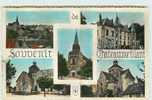 18 - CHATEAUMEILLANT - SOUVENIR De ... - MULTIVUES - CPSM Petit Format -  Scan Recto-verso - Châteaumeillant