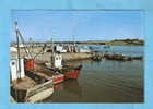 CP- Pénestin -  Trehiguier - Le Port - Pêcheurs - 56- Morbihan - Pénestin