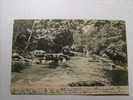 Akron. - A Trip Up The Cuyahoga Gorge.  (12 - 8 - 1907) - Akron