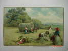 5975  AGRICULTURA  YEARS  1910  OTHERS IN MY STORE - Fattorie