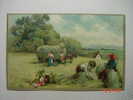 5975  AGRICULTURA  YEARS  1910  OTHERS IN MY STORE - Bauernhöfe