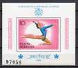 Romania 1976 / Olympic Games Montreal 1976 / Perforated MS - Estate 1976: Montreal