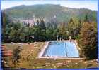 Triberg,Schwimmbad,1960,Schwarzwald, - Triberg