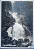 Triberg,Triberger Wasserfälle,1950-1960,Künstlerkarte, - Triberg